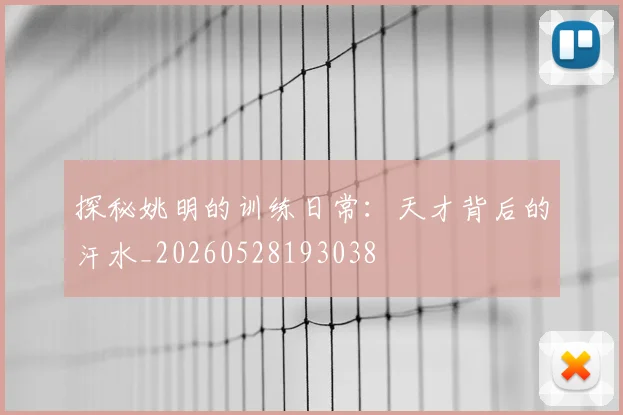 探秘姚明的训练日常：天才背后的汗水_20260528193038